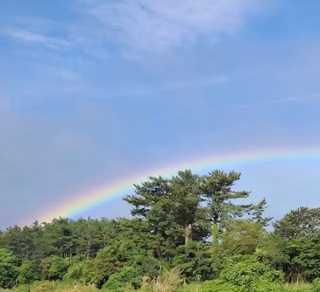 만성피로 회복 — 체질별 음식과 생활습관